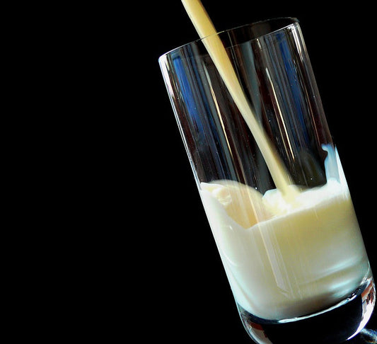 Primäre & sekundäre Laktoseintoleranz