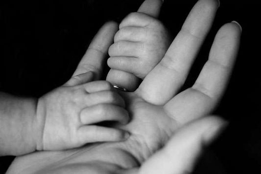 Kinderwunschbehandlung: In vitro Fertilisation (IVF)