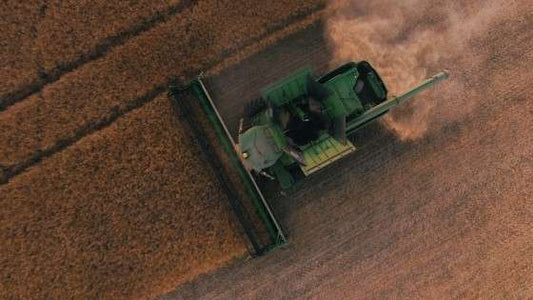 Weizenallergie: Nicht alle Menschen vertragen Gluten